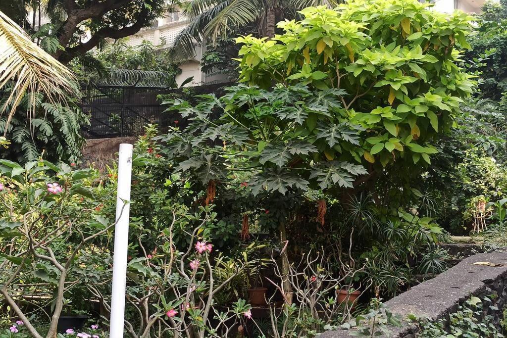 Апартаменты Cozy Private Ac Studio By The Sea Bandstand Bandra W Mumbai Nr Taj Lands End Экстерьер фото